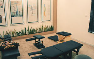 Chiropractic